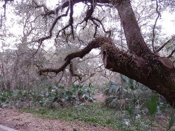 3rd image of 129 Island Hammock Way