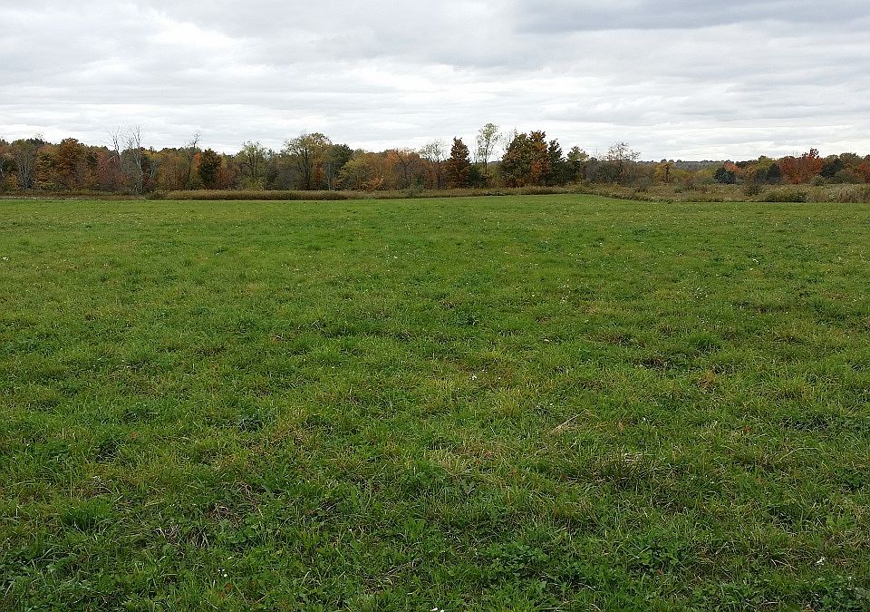 1st image of 11591 Brosius Road