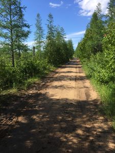 22850 Duck Lake Trl, Newberry, MI, 49868