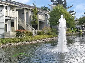 116 Shoreline Ct — Photo 14