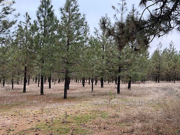 2nd image of Garrison Rd #1