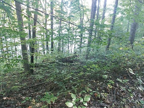 3rd image of Tbd Wild Cherry Ln
