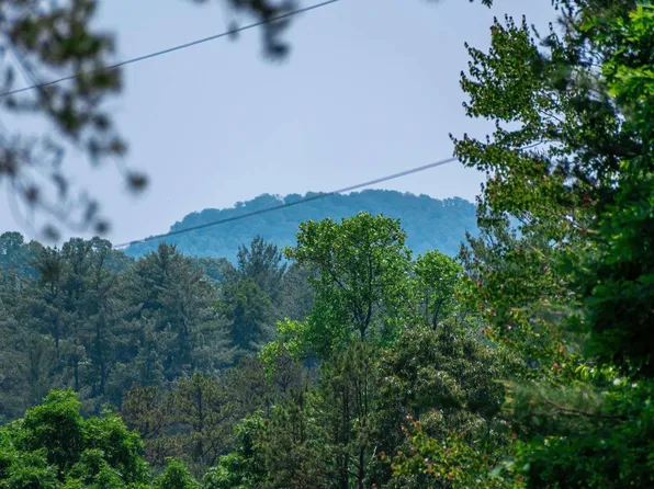2.66 Pine Ln, Mineral Bluff, GA 30559