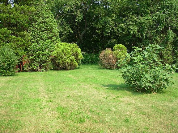 before i cleared property