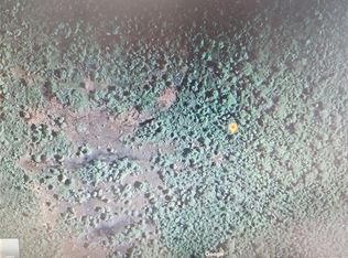 Holopaw Groves Rd Lot 2, Saint Cloud, FL 34771