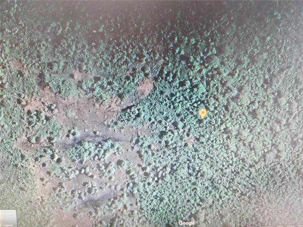 Holopaw Groves Rd Lot 2, Saint Cloud, FL 34771