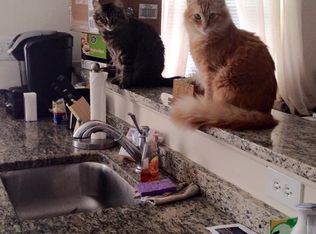 219 Rodgers Forge Rd APT D, Baltimore, MD 21212