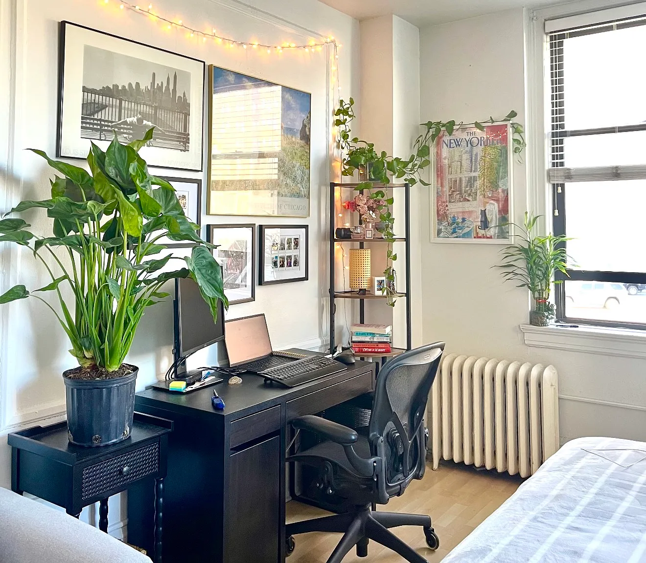 Studio, 400 sqft, $1,250 — Photo 2