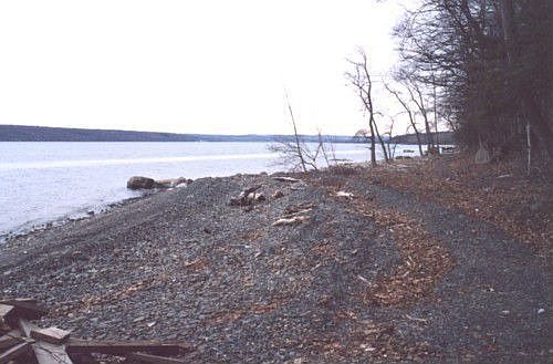 Shore line view