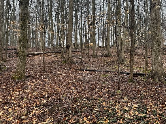 5th image of Nob Rd Lot 20