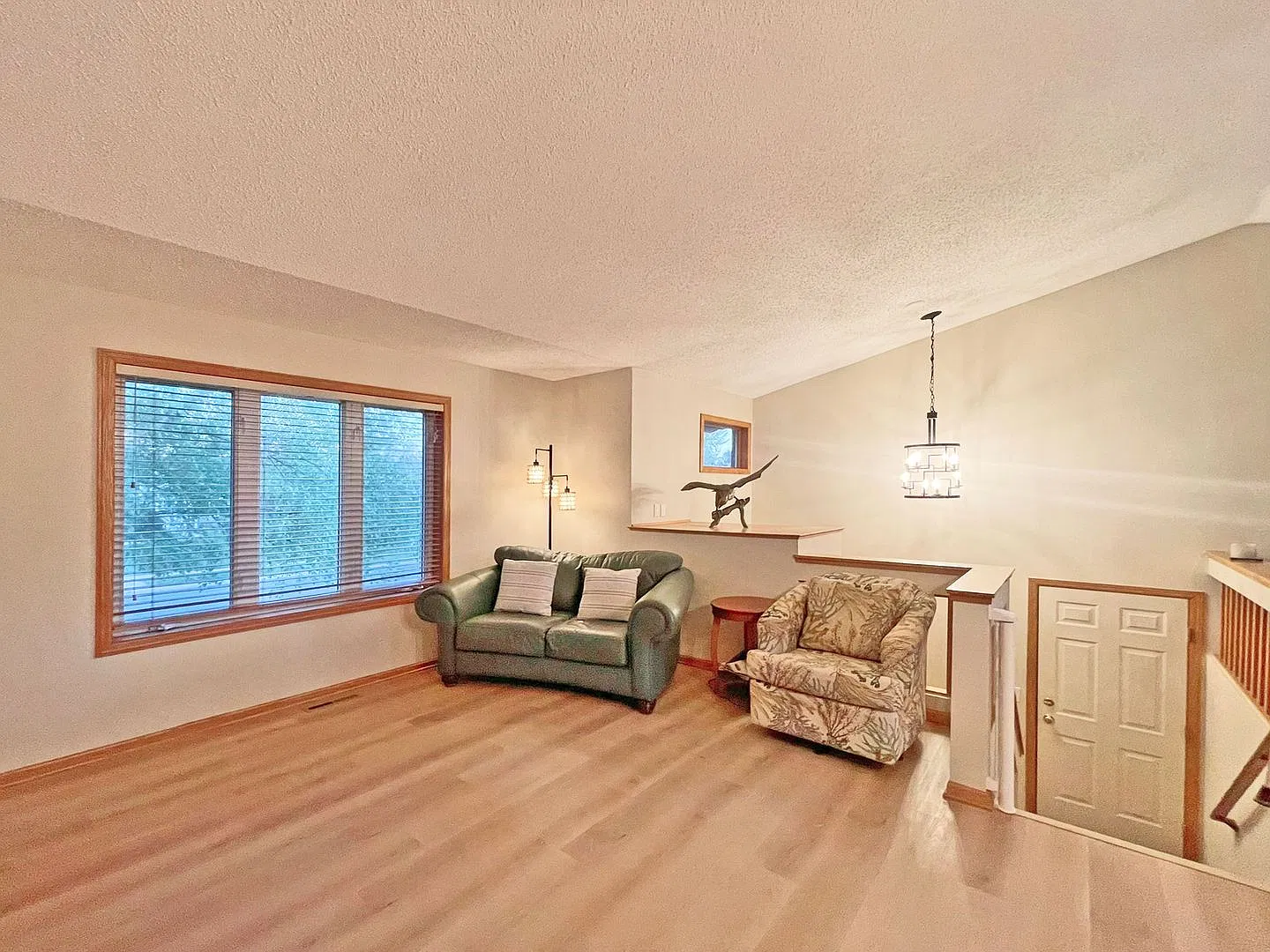 Large 4 bed/2 bath Split Entry home * Rosemount * Available July 1 — Photo 3
