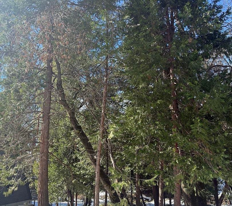 1st image of 21730 Wasatch Mountain Dr