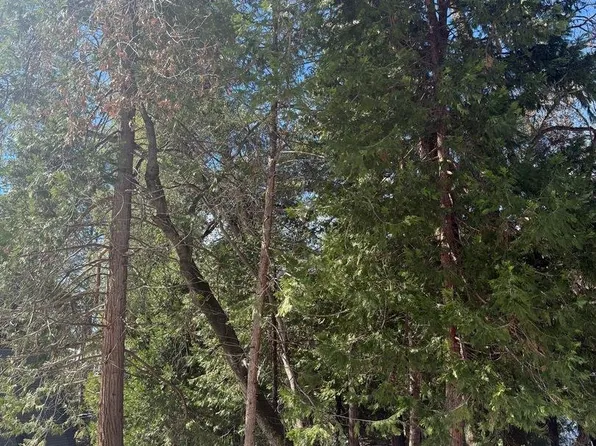 21730 Wasatch Mountain Dr, Sonora, CA 95370