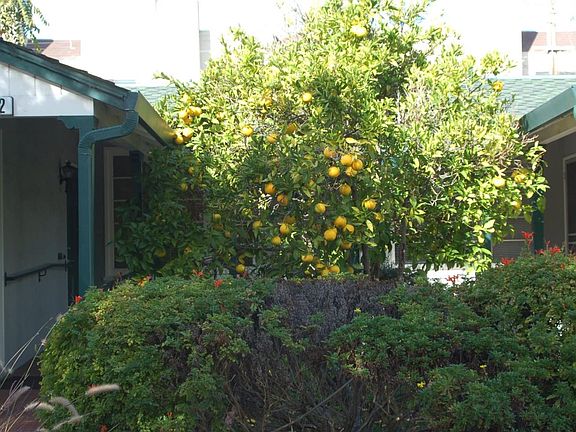3rd image of 1508/1512 San Carlos Ave