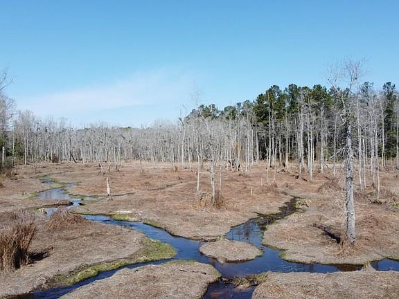 3rd image of 1672 Dixired Rd