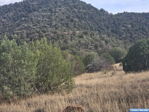 Xx Poncho Rd, Silver City, NM 88061