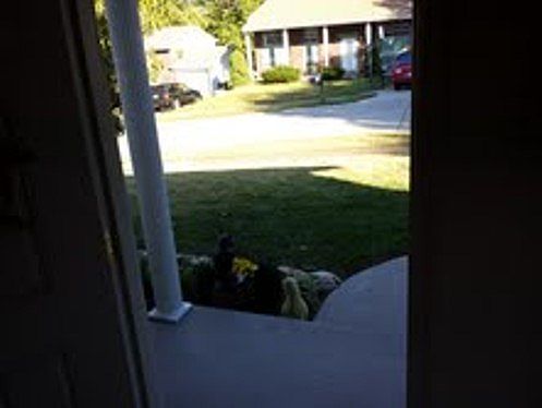 outside view from front entry 