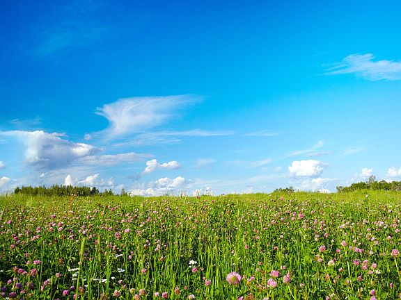 Enjoy nearby green spaces and outdoor recreation near 99 Kent Street.