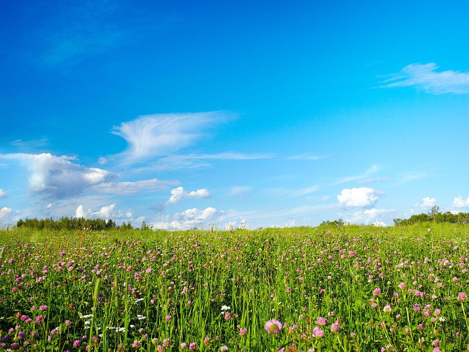 Enjoy nearby green spaces and outdoor recreation near 99 Kent Street.