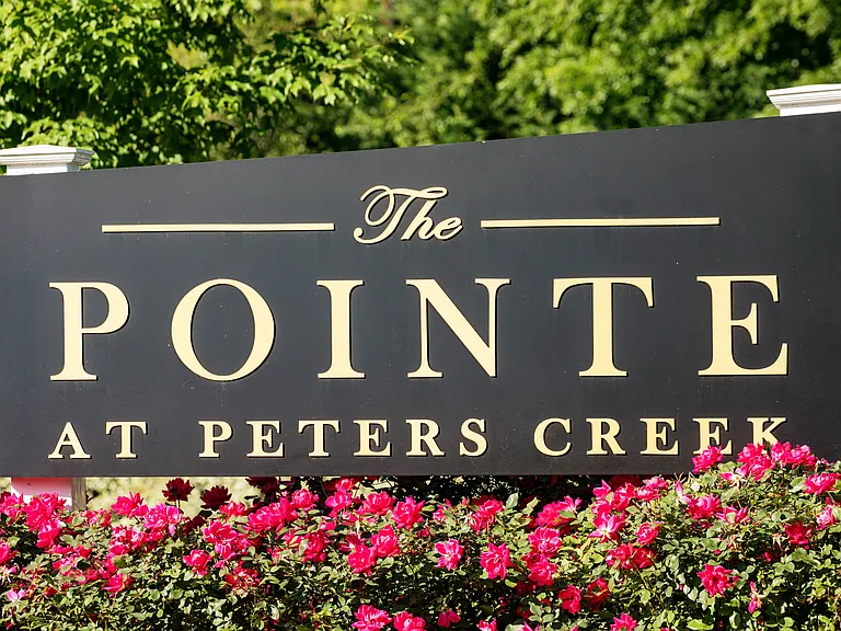 The Pointe at Peters Creek — Photo 11