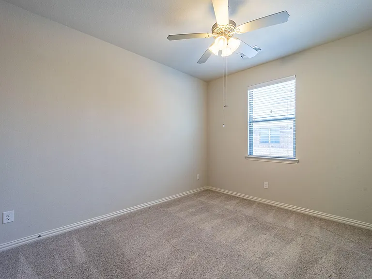 Lighted ceiling fan and extra plush carpet
