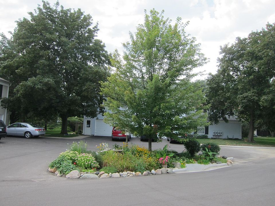 Trees around the building