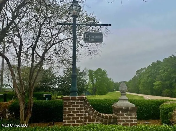 Chestnut Hill Rd Lot 29, Flora, MS 39071