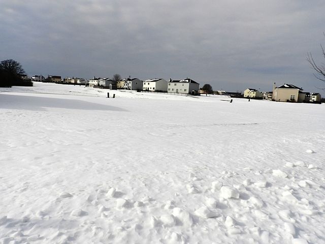 2nd image of 3501 Rebecca Dr