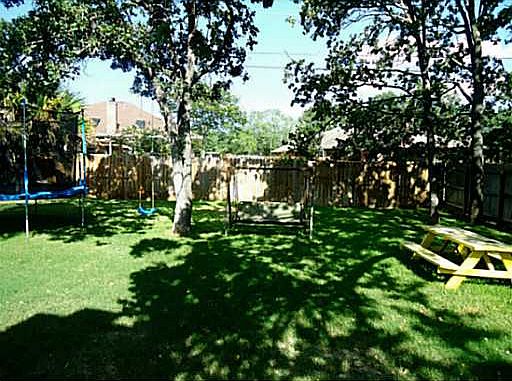 Heavily shaded backyard