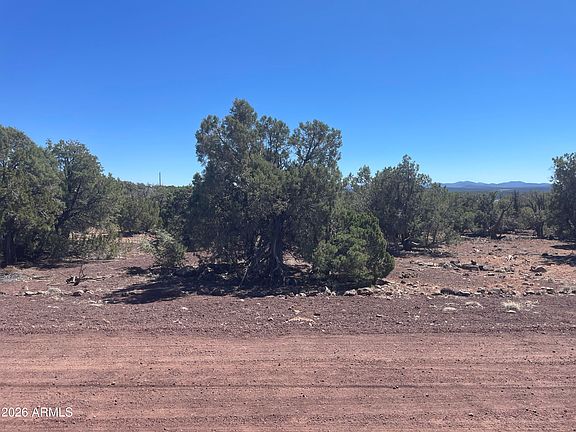 3rd image of 0 Show Low Pines Unit 8 Lot 346 Road #346