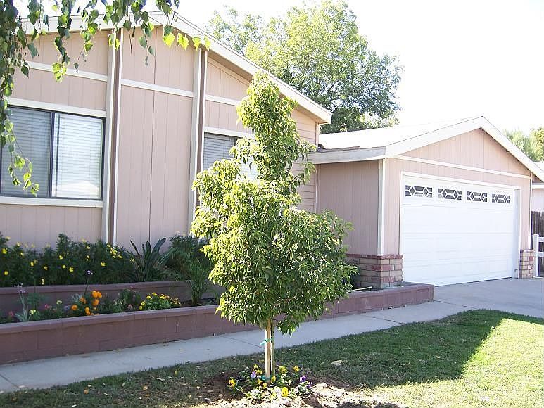 Great Front Lawn