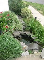 Coi Pond
