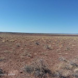 LOT 208 Carrizo Ranch St, Saint Johns, AZ, 85936