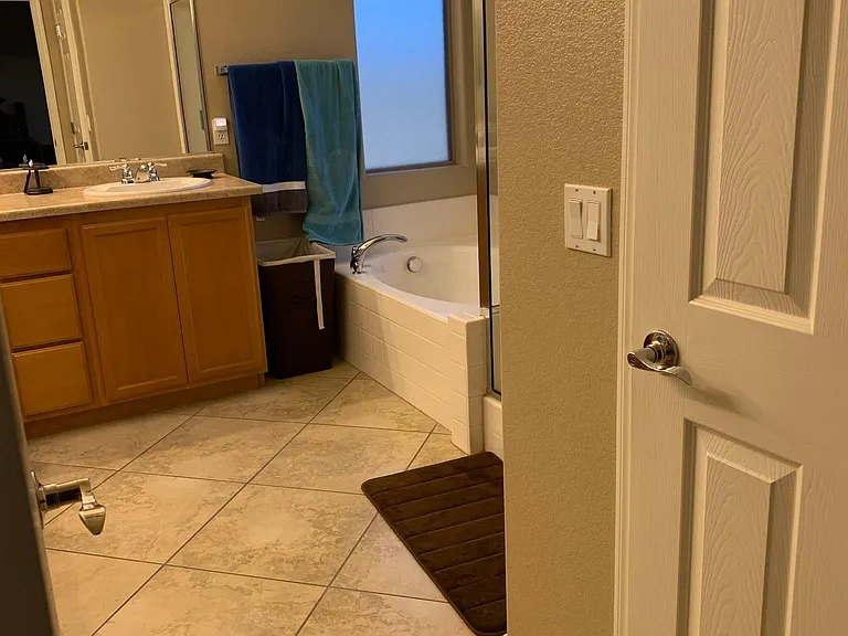 Master bathroom