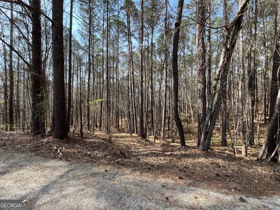 0 Bluejay Ct #65, Monticello, GA 31064