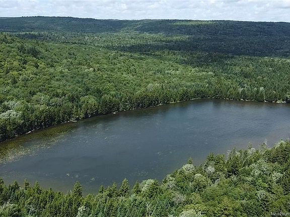 2nd image of Big Salmon River Rd