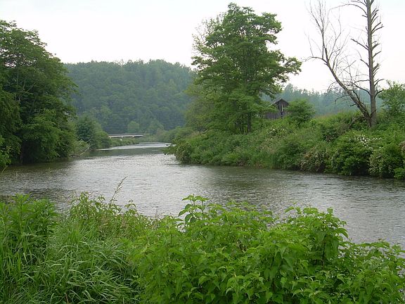 100+ ft on the new river