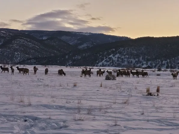 273 Bucktail, Gypsum, CO 81637