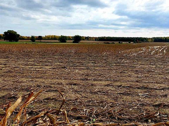 3rd image of 4484 County Road 10
