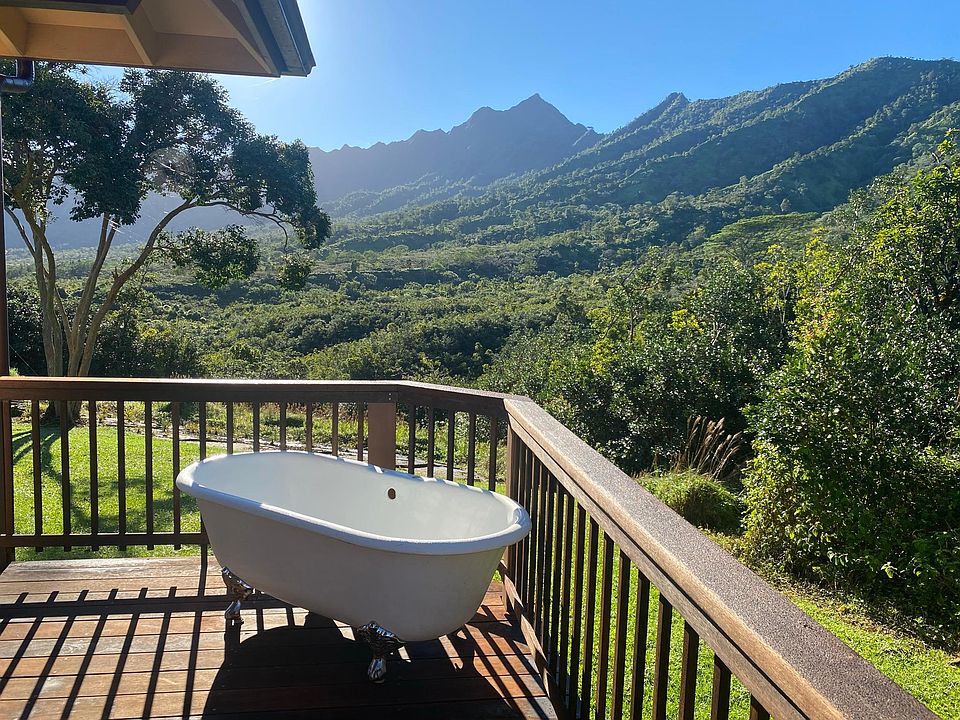 Surrounded by the magical jungle