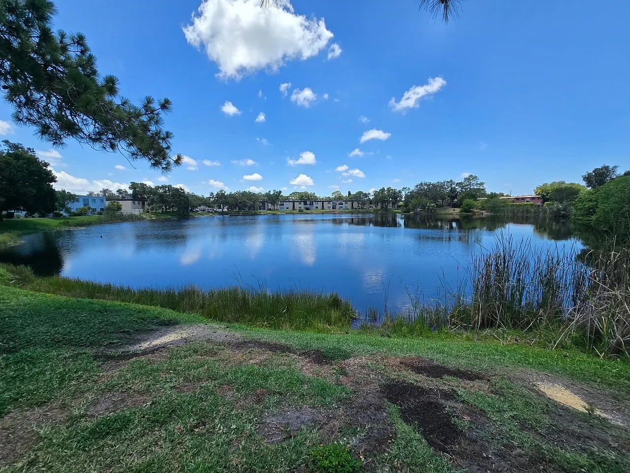 1 bed, 710 sqft, $1,475 — Photo 2