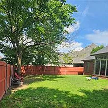 Back yard
