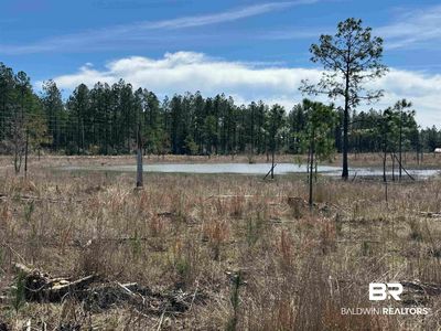 3 County Road 64 Ext, Robertsdale, AL, 36567