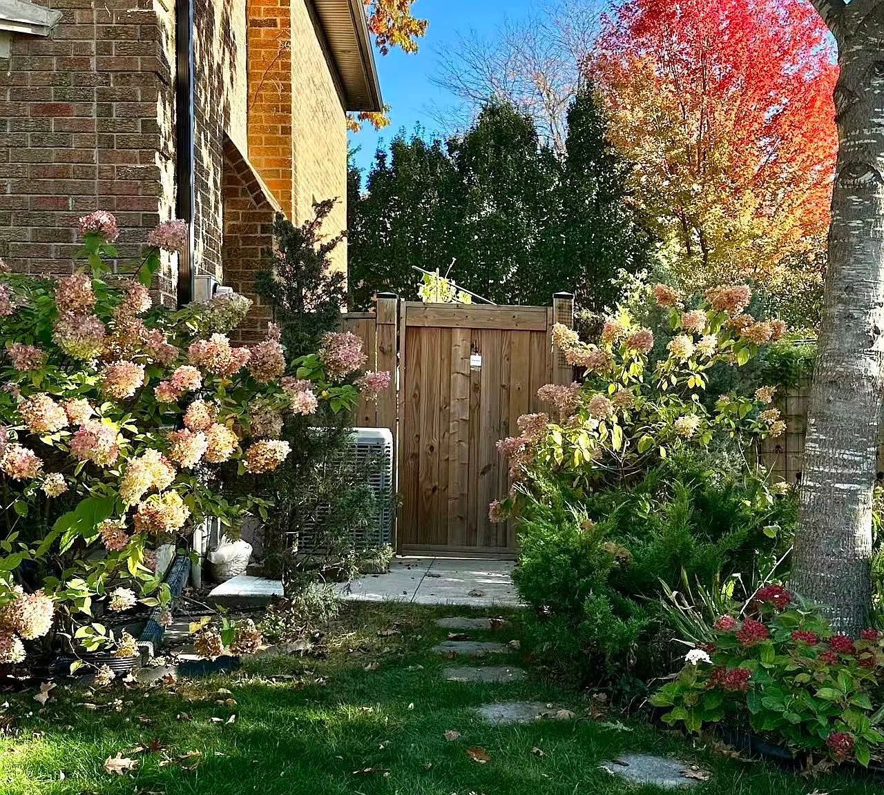 2 bed, $2,200 — Photo 1