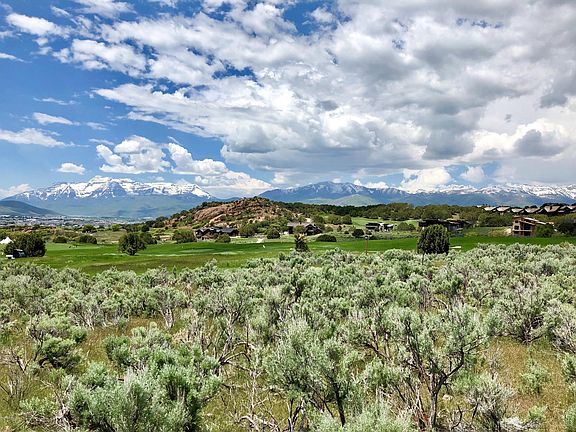 4th image of 565 N Red Ledges Blvd Lot 111