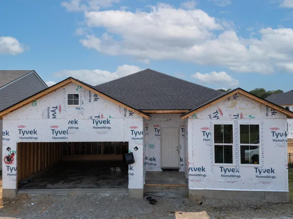 11054 Briarview Ct, Independence, KY 41051