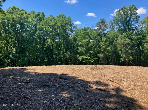 TRACT 2 Graves Hollow Rd, Maynardville, TN 37807