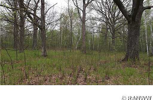 2nd image of 0 Old Hwy D