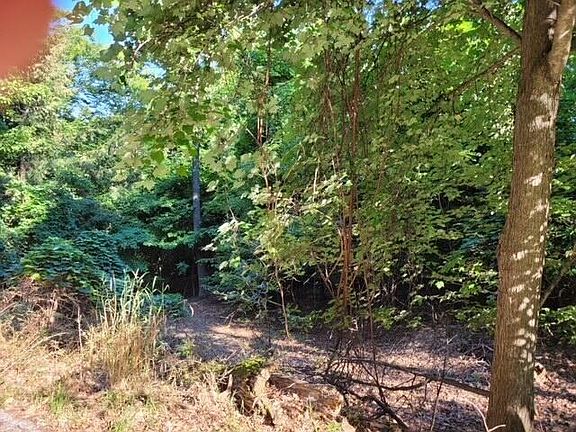 4th image of LOT Silver Vista Ln Lot E