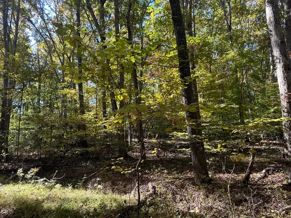 LOT 1215 Iron Gate Dr, White Pine, TN 37890